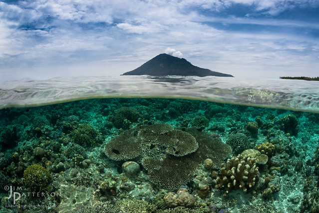 Two As One - Bunaken Island, Indonesia