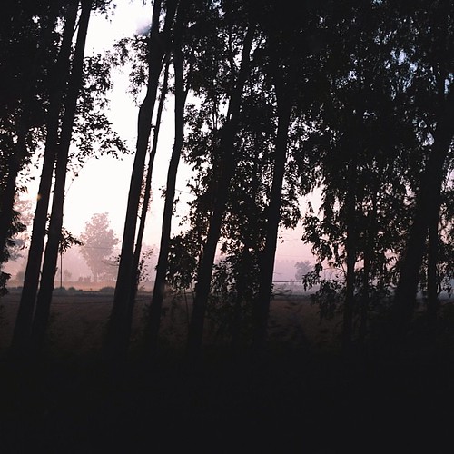 sunrise in #Patiala by Kanwar Sandhu, square squareformat iphoneography instagramapp uploaded:by=instagram foursquare:venue=4e44d395ae605a