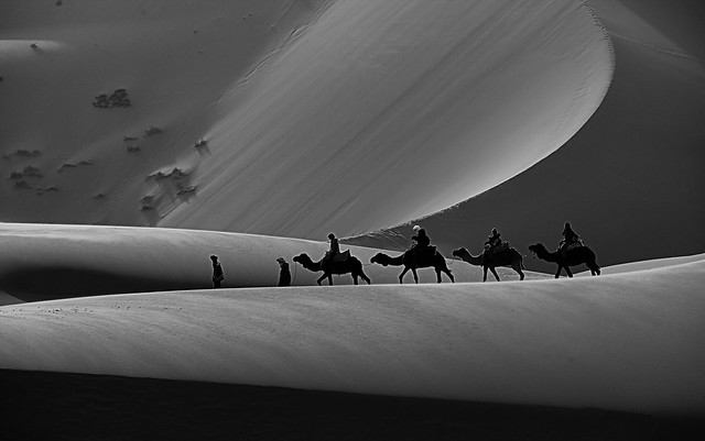 Camel ride in Erg Chebbi, Sahara - Morocco