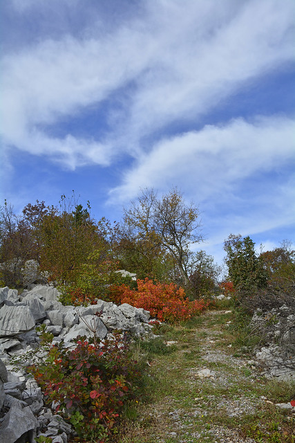 autumn carso near aurisina
