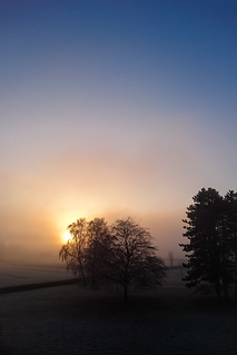 Sonnenaufgang im Nebel / Sunrise in the fog