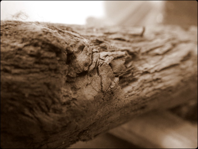 Texture of driftwood