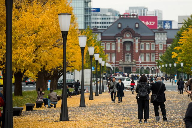 Tokyo Station in autumn (東京駅)