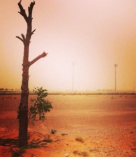Sandstorm sunset