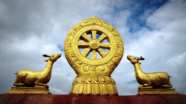 Dharma Wheel - Wheel of Life