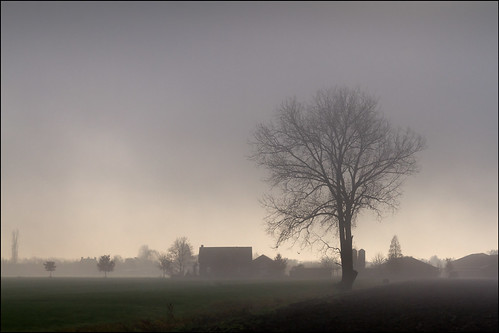 from trees house mist tree nature netherlands field grass car misty fog farmhouse barn landscape outdoors europe driving view farm nederland gi 1750mm