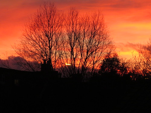 Sunset over the Rooftops by sueeverettuk, Three shots of the sunset in Warminter on Sunday 8 Dec at 16:35 from our bedroom window.
The main ph