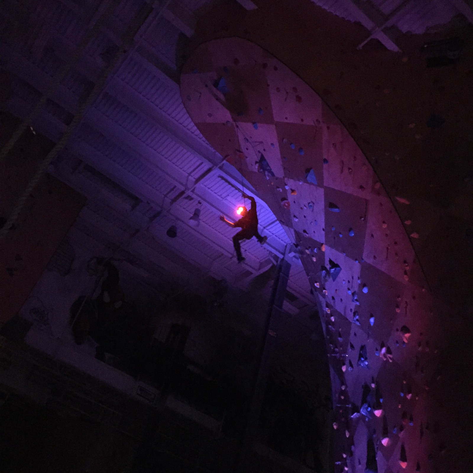 2016.11.12_The Lights Out at Brooklyn Boulders, T.R.I.P. Release_photo by Nate Rogers_FAV