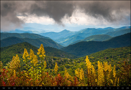 mountains landscape nc goldenrod appalachian blueridgeparkway