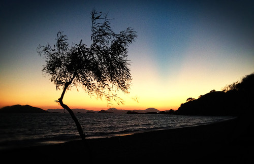 sunset sea tree beach coast mediterranean mimosa fethiye calis challengeyouwinner kocacalis