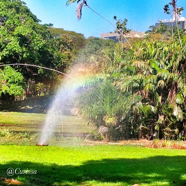 Este pequeño detalle llenó de felicidad mi mañana. #ArcoIris #ParqueDelEste #100HappyDays 10/100