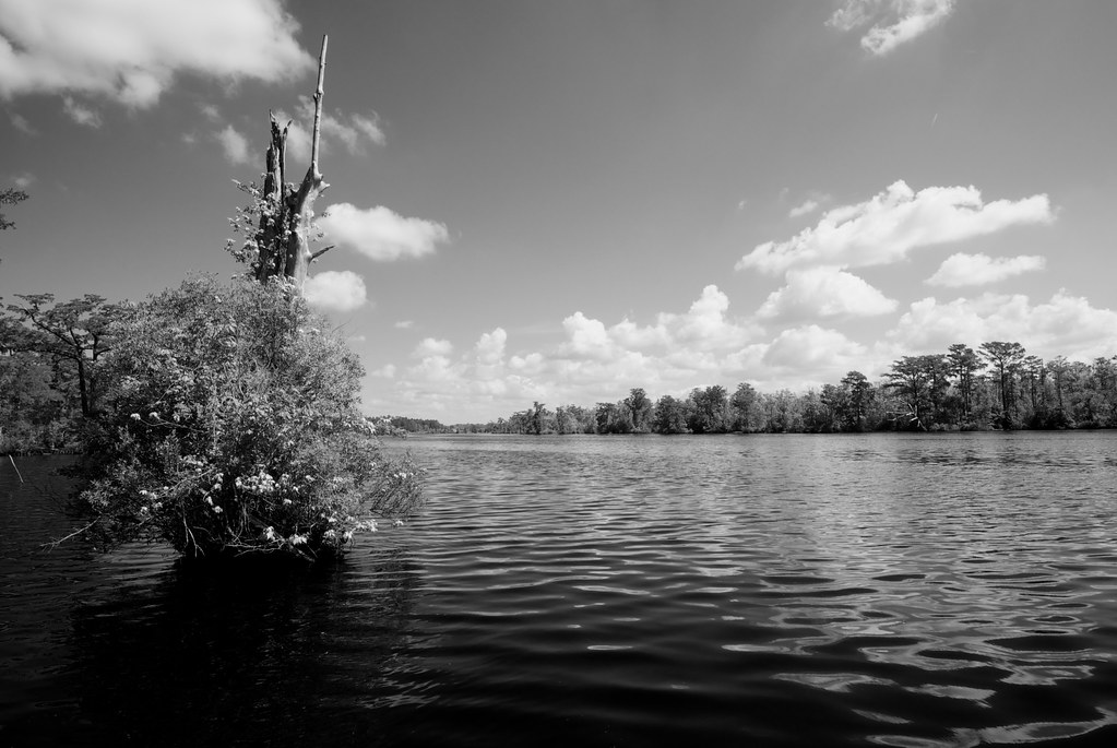 Fenwick-Hollowell Wetlands Trail