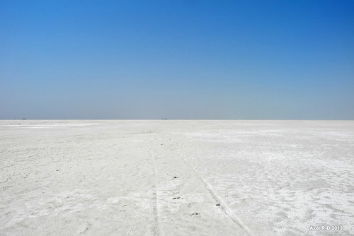 india desert salt flats gj gujarat désert désertdesel dhordo greatrannofkachchh kachchhkutch