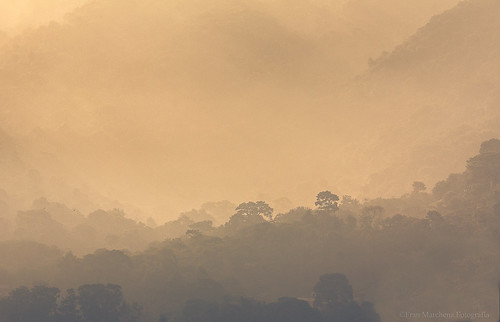 trees mountains fog canon landscape smog árboles venezuela paisaje caracas niebla montañas myst bruma franmarchena