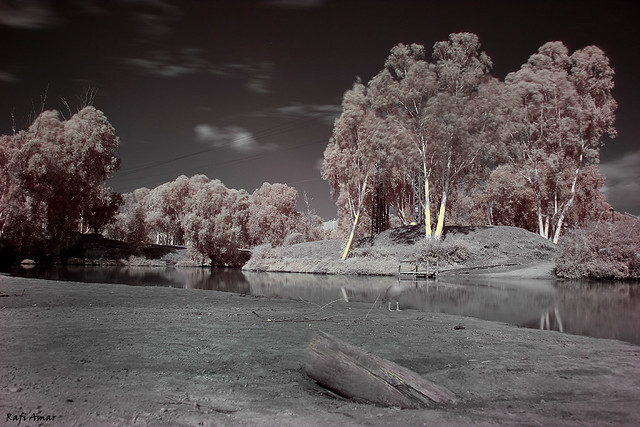 Experience shooting with an infrared camera