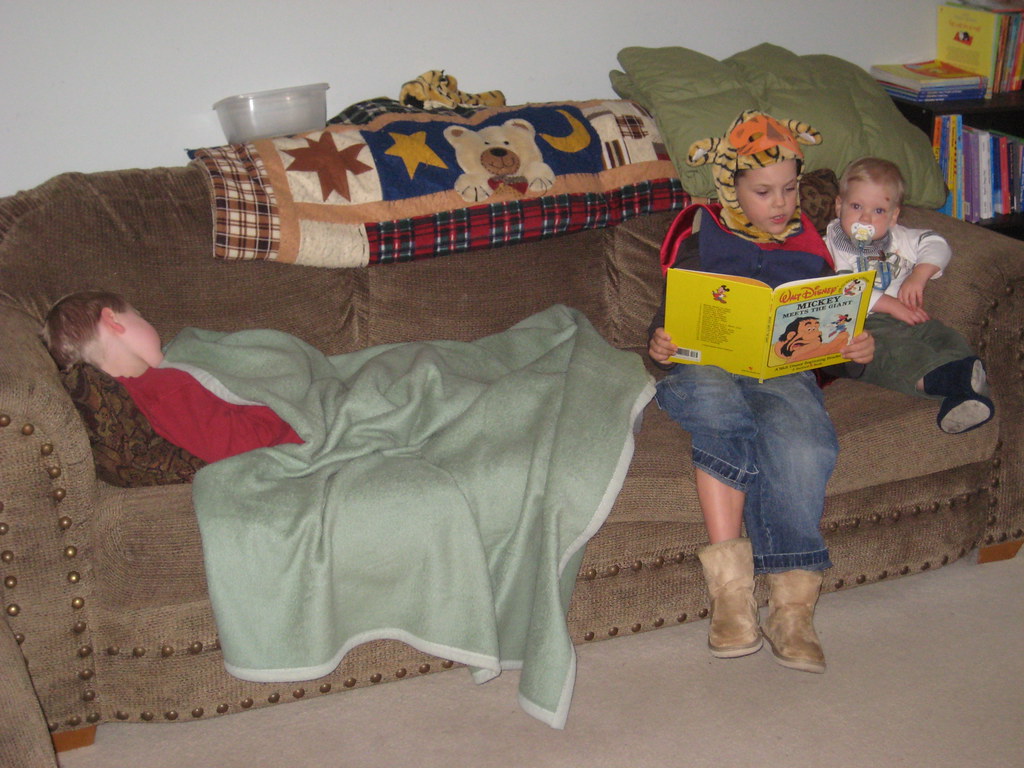 Reading to brothers | ragreen0698 | Flickr