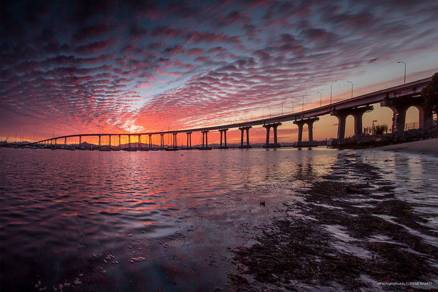 Sunday Morning @ San Diego-Coronado Bay Bridge
