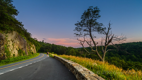 road trees mountains wall sunrise virginia unitedstates huntly shenandoahnationalpark indianrunoverlook