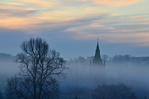 empingham england rutland uk 2014 misty mist fog foggy stpeterschurchinempingham trees tree sunrise silhouette frost andrewdejardin