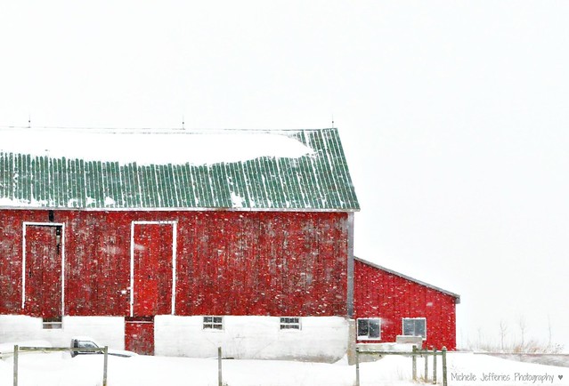 46/365 ~ the old red barn
