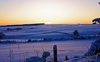 Aberdeenshire Winter-5.jpg