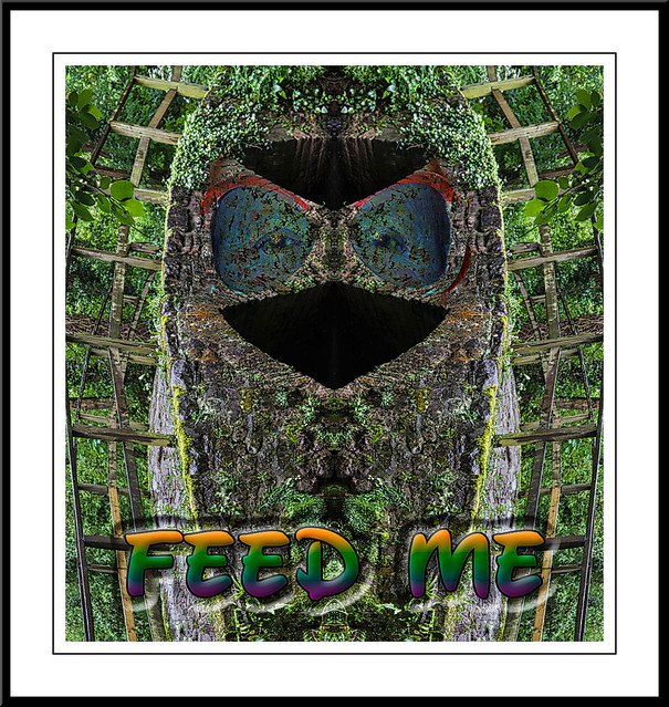 DUC 783: Feed Me