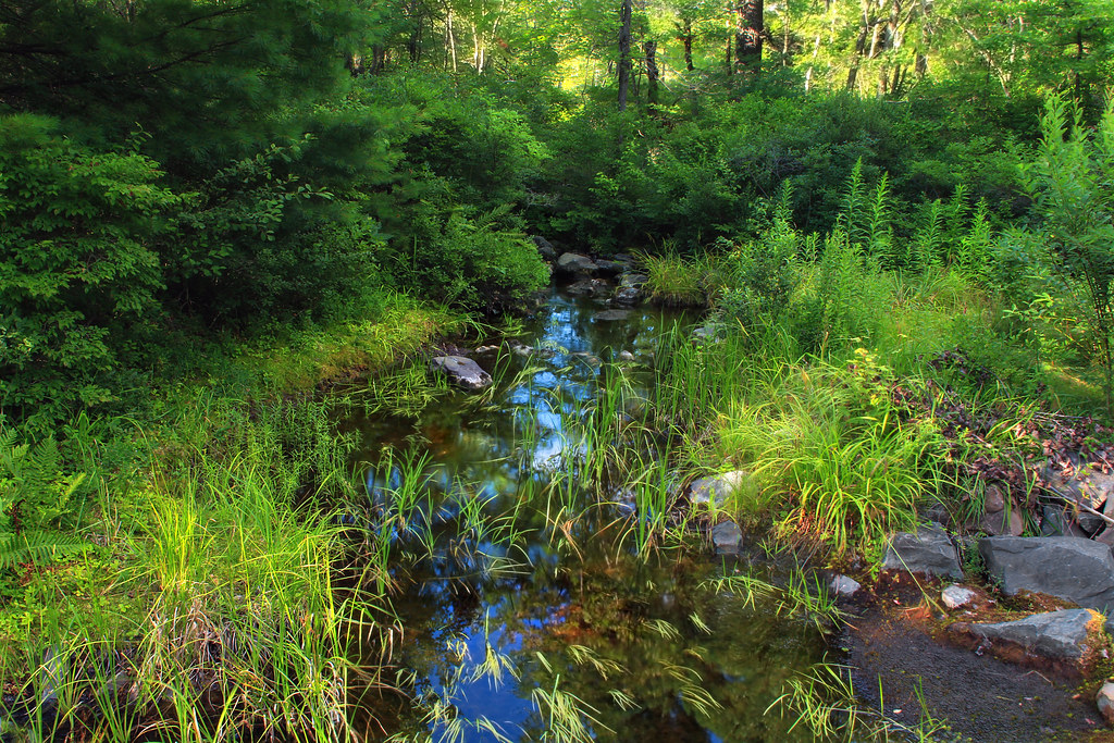 Pine Hill Trail