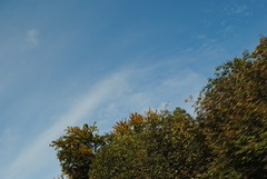7 Chapterausfahrt 2013