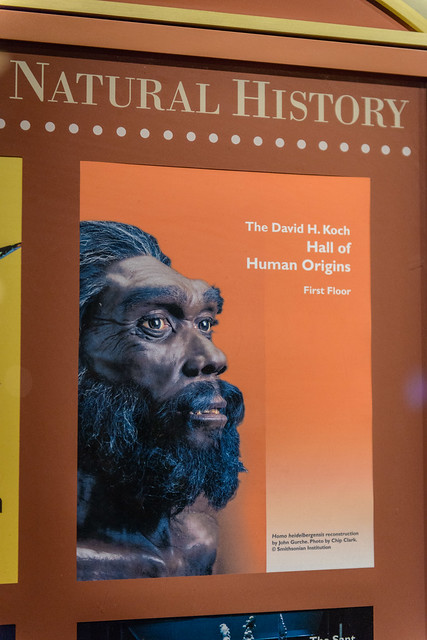 Poster for David H. Koch Hall of Human Origins