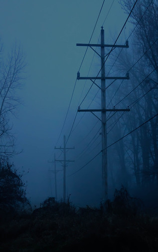 The Haunted Fog | Nicholas Cardot | Flickr