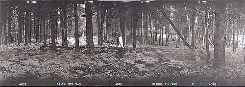 panorama minnesota forest hackensack tenmilelake
