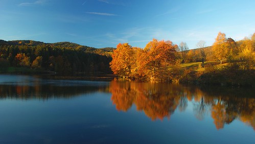 lake see autumn herbst
