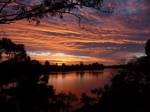 trees reflection clouds sunrise australia brisbane qld queensland brisbaneriver naturalframing