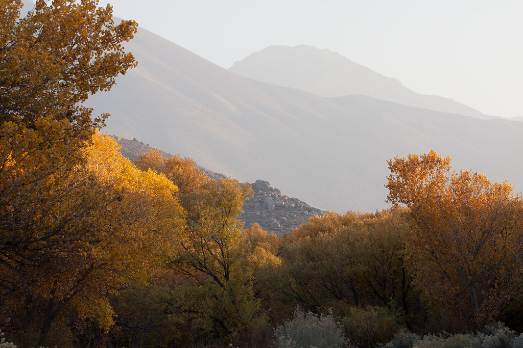 Sagebrush Trail