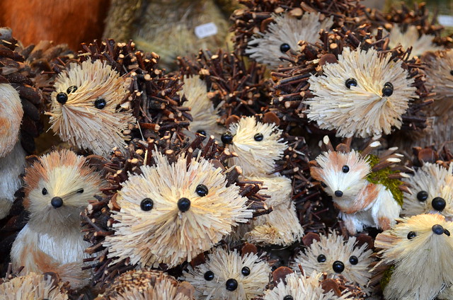 A Pile Of Hedgehogs [Salzburg- 7 December 2013]