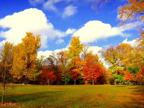 newyork brooklyn dmitriyfomenko image sky clouds fall autumn prospectpark foliage