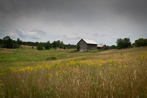 landscape barns hickeyfamilyreunion2013kinmount