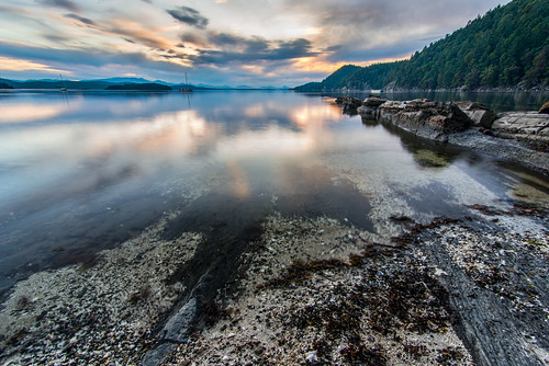 ocean park travel blue sunset sea summer sky orange cloud mountain seascape canada reflection nature water forest port sunrise landscape outside one coast harbor boat back big marine scenery ship view natural outdoor britishcolumbia vibrant background north scenic dramatic overcast tourist calm clear business coastline seashore hdr galianoisland pristine destinations montagueharbourmarineprovincialpark