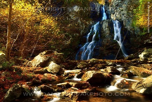 park autumn light blackandwhite color nature water colors season landscape outdoors photography virginia waterfall cool warm unitedstates highlights falls foliage cast shade shenandoah colorcast southriver stanardsville silverefexpro coffeetint