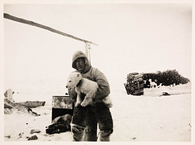 Roald Amundsen med isbjørnungen 