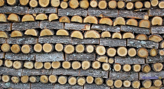 Woodpile in stack