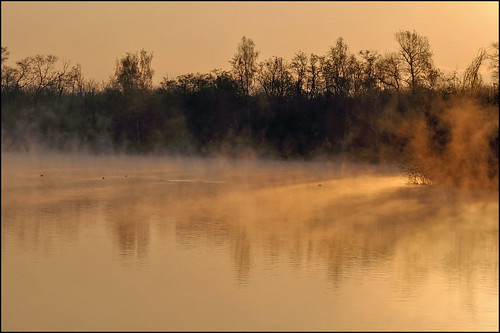 mist nature landscape nikon lumière tamron paysages brume eaux d90 étangs levéedesoleil sp90mmf28divcusdmacro