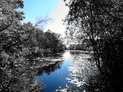 Mill Pond Park -- Autumn (29)