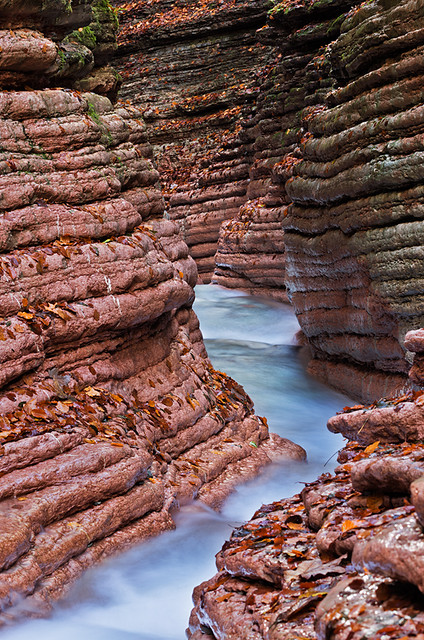 The Red Canyon IV