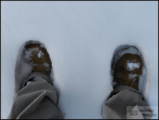 We Have Two Feet In Snow Here