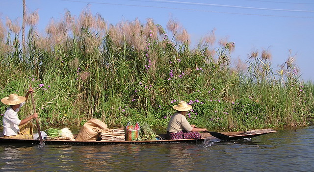 su gente transportando en barca Lago Inle Myanmar Birmania 40