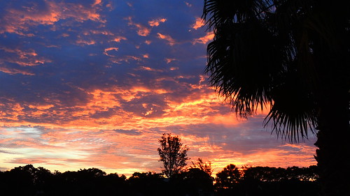 morning wallpaper sun color tree weather clouds sunrise dawn flickr florida palm bradenton mullhaupt jimmullhaupt