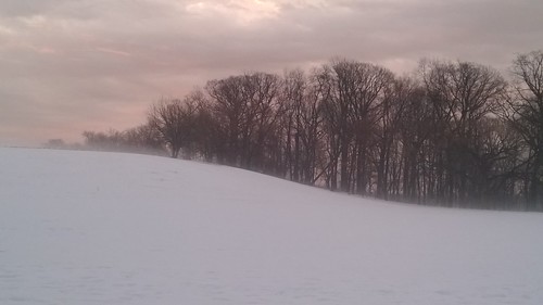 snow fog landscape lumia1520