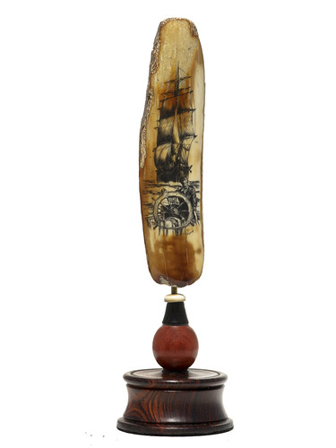 Confident Captain | by Scrimshaw Gallery