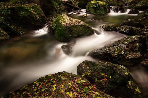 stream ruscello cascata waterfall savolio montegelato fall autumn autunno longexposure nd nd1000 tempilunghi stefanoavolio